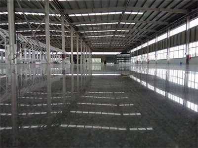 1494067420864475.jpg q5.jpg